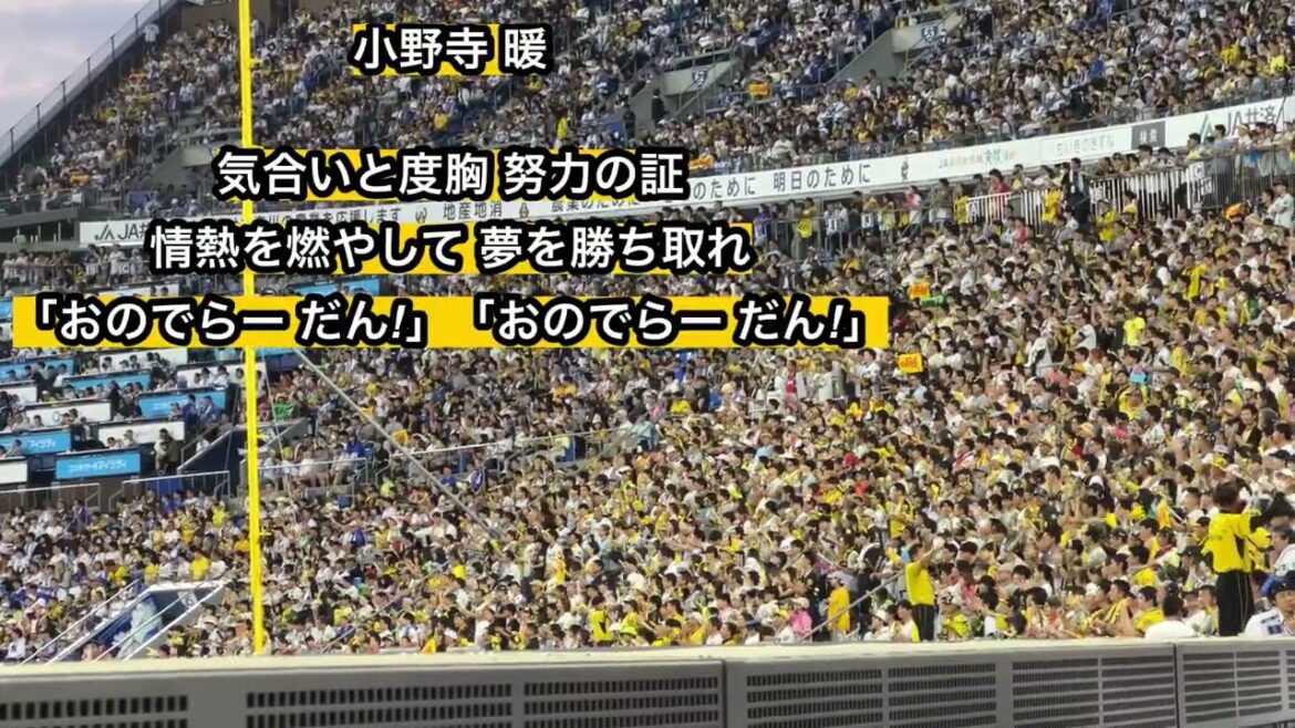 阪神タイガース 小野寺 暖 応援歌【歌詞有り】横浜スタジアム