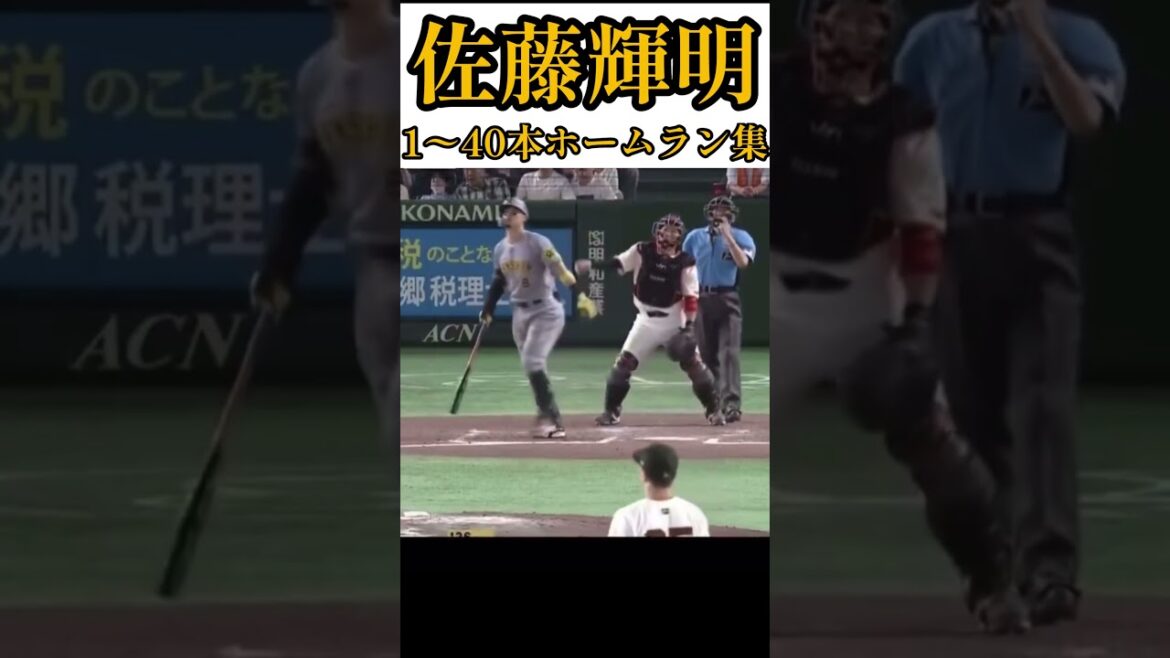 一分で分かる今期のサトテル #shorts #佐藤輝明 #阪神タイガース #プロ野球 #甲子園 #ホームラン
