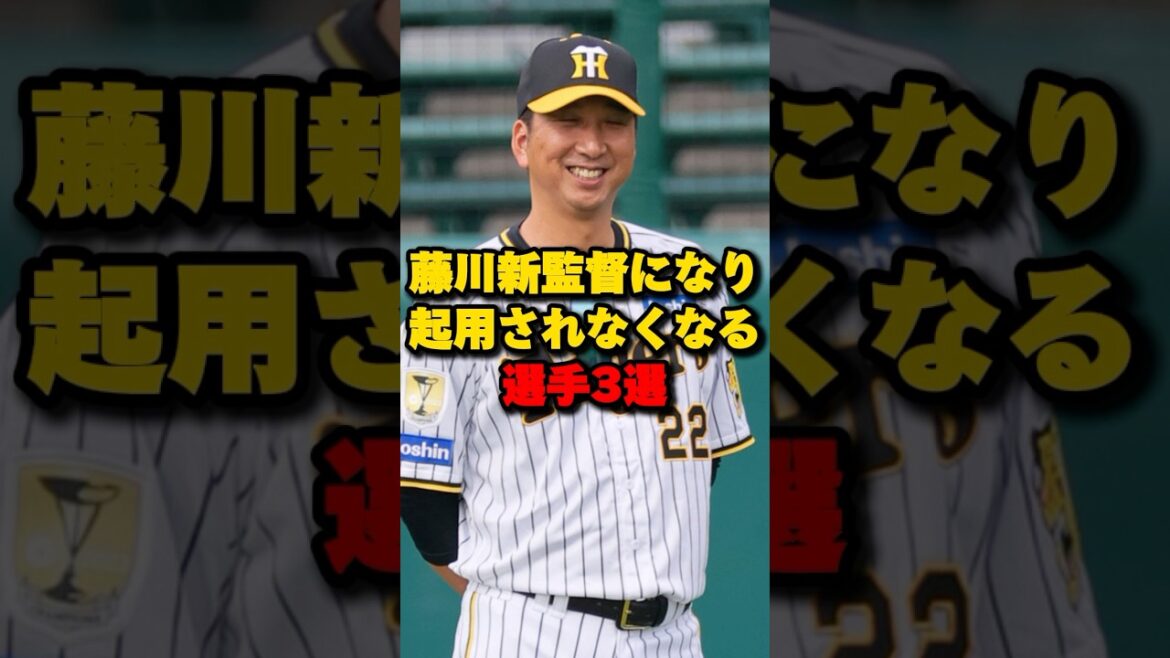 藤川新監督になり起用されなくなる選手3選#藤川球児 #阪神タイガース