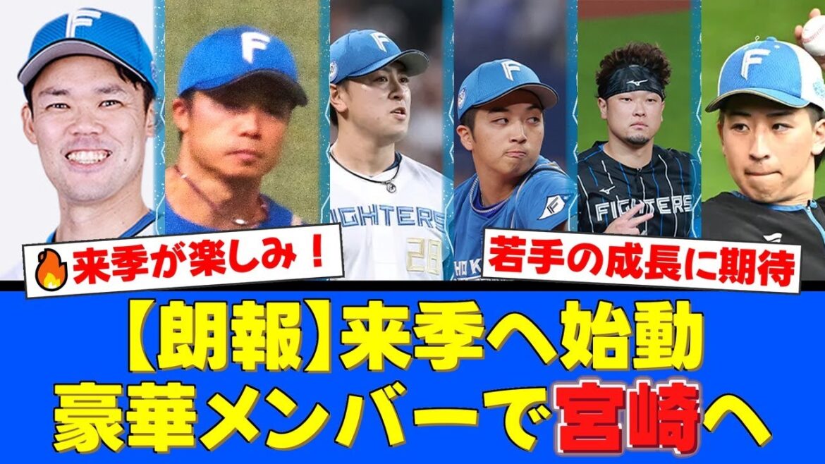 【朗報】日本ハム、フェニックスリーグ参加メンバー発表！福谷浩司、中島卓也らベテラン勢の参加にファンから「若手の良い手本になる」と期待の声が殺到！【プロ野球ファンの反応】
