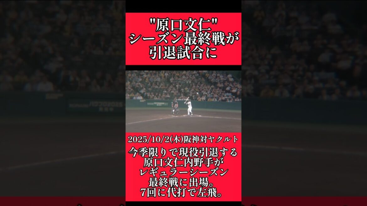 【阪神】"原口文仁"引退試合で代打で出場！ #阪神 #阪神タイガース #原口文仁 #shorts