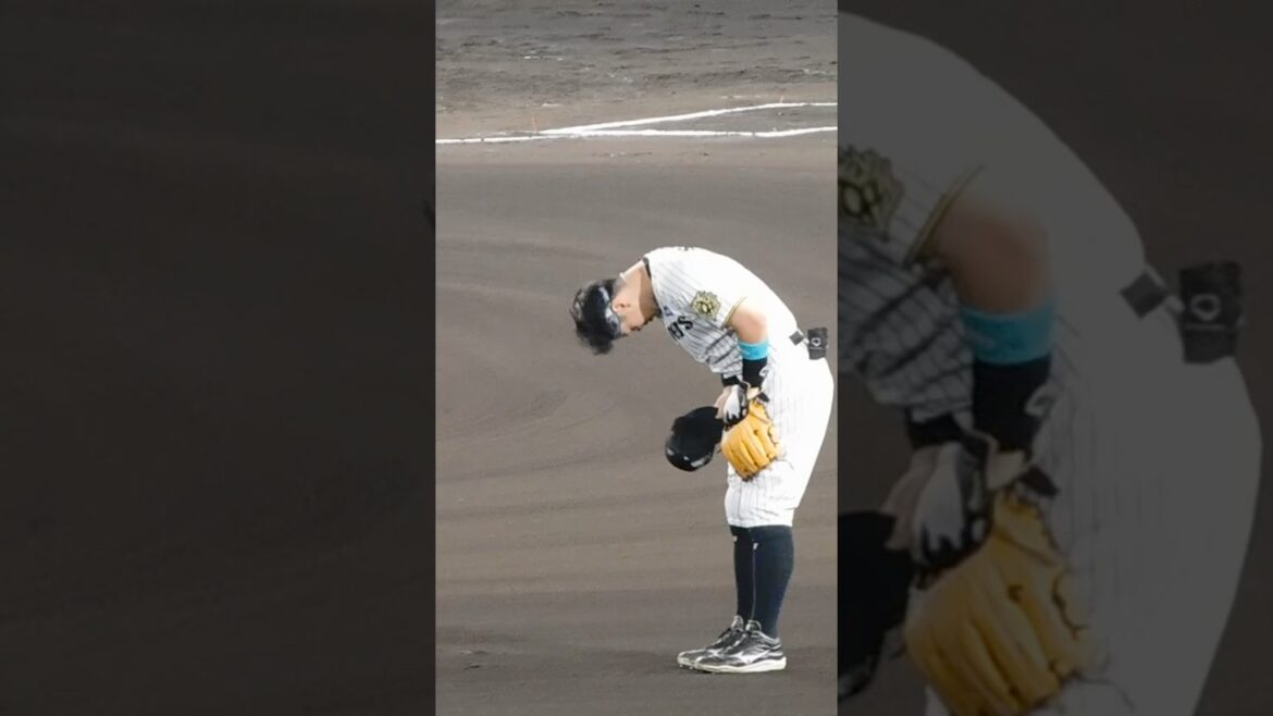 【とうとう大台40号】最終戦で40号に乗せファンの歓声に応える佐藤輝明 【とうとう大台40号】最終戦で40号に乗せファンの歓声に応える佐藤輝明