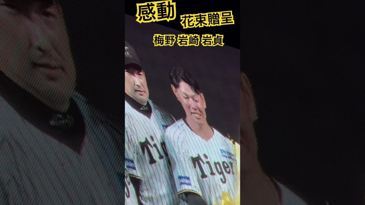 #原口文仁 #梅野隆太郎 #岩崎優 #岩貞祐太