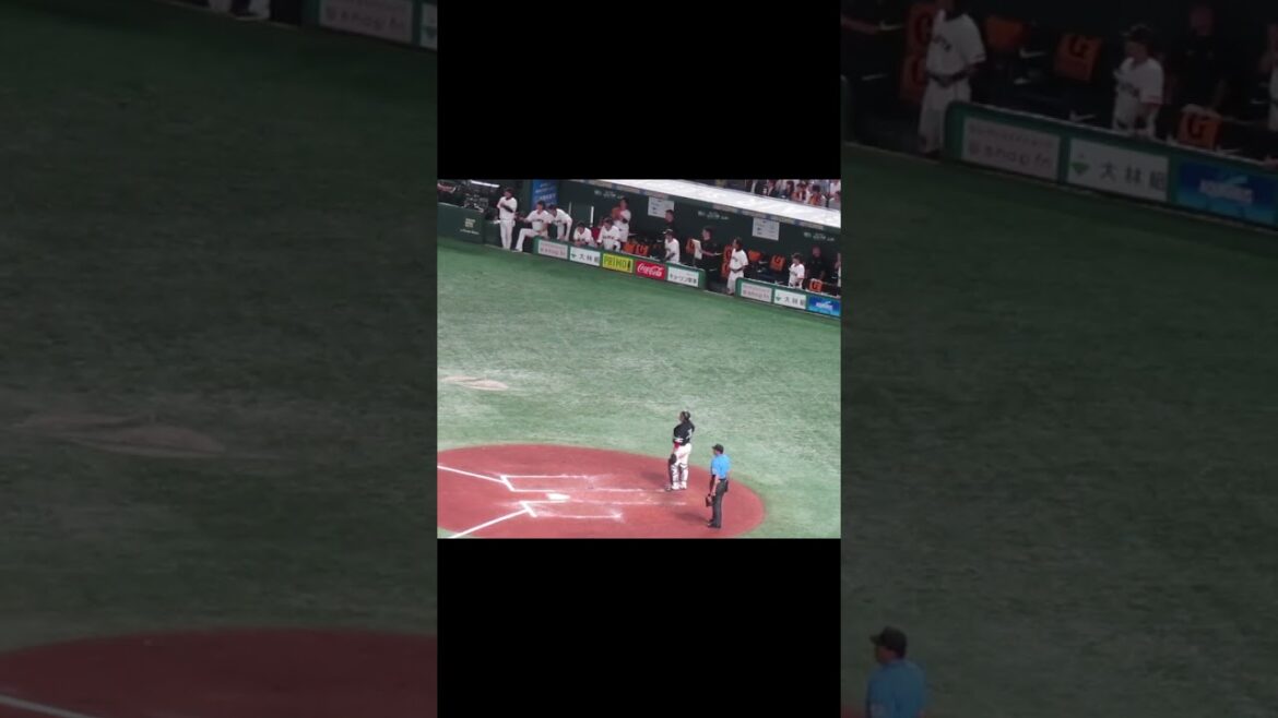 丸佳浩がツーベースヒットで巨人ベンチの選手が盛り上がる＜読売ジャイアンツ対 福岡ソフトバンクホークス2024年5月30日＞