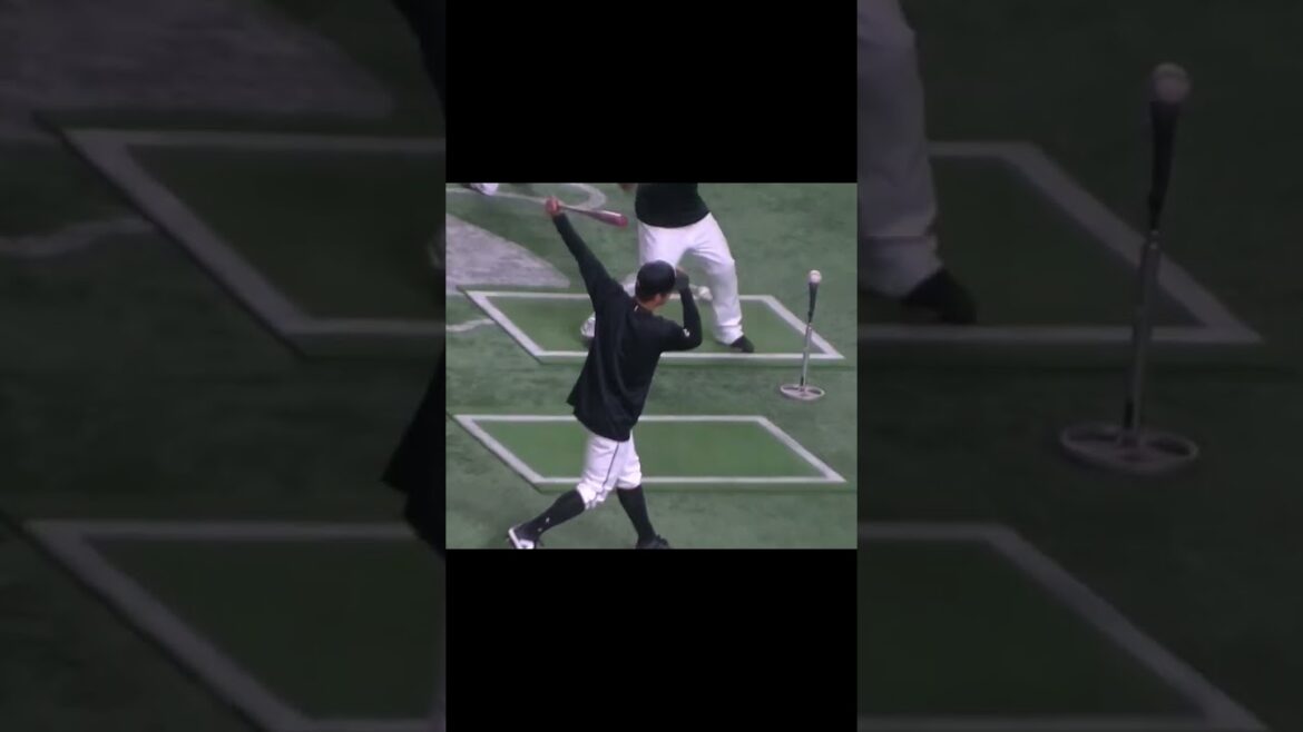 【千葉ロッテ】中村奨吾のトスバッティング【読売ジャイアンツ対千葉ロッテマリーンズ2024年6月4日】