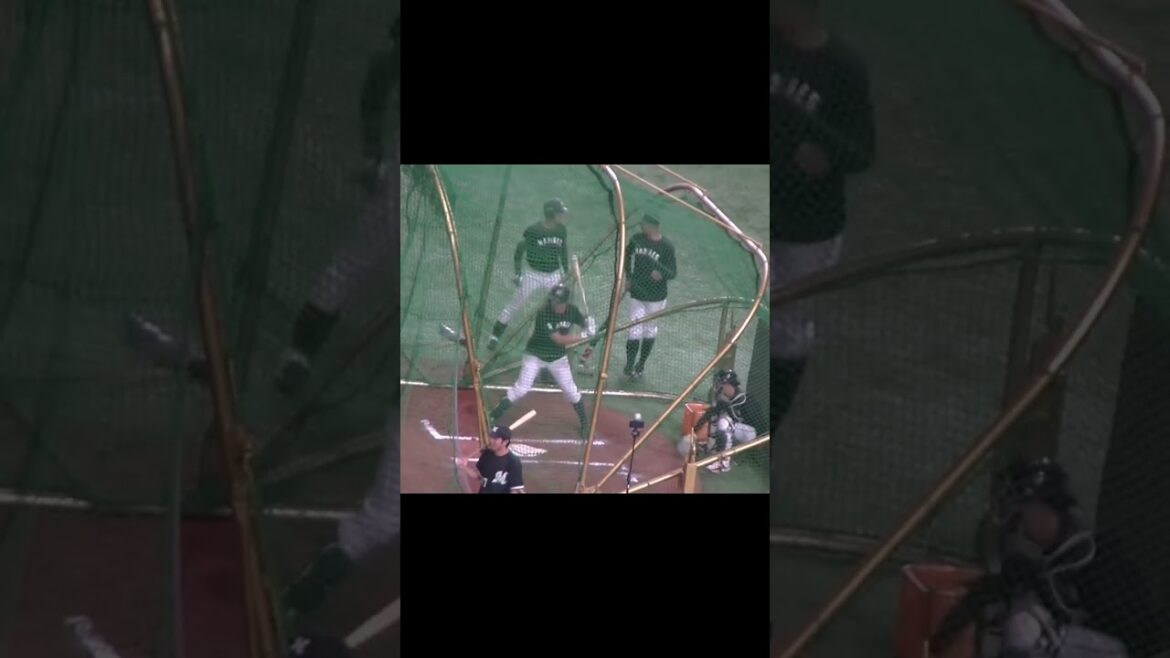 安田尚憲のフリーバッティング【読売ジャイアンツ対千葉ロッテマリーンズ2024年6月4日】