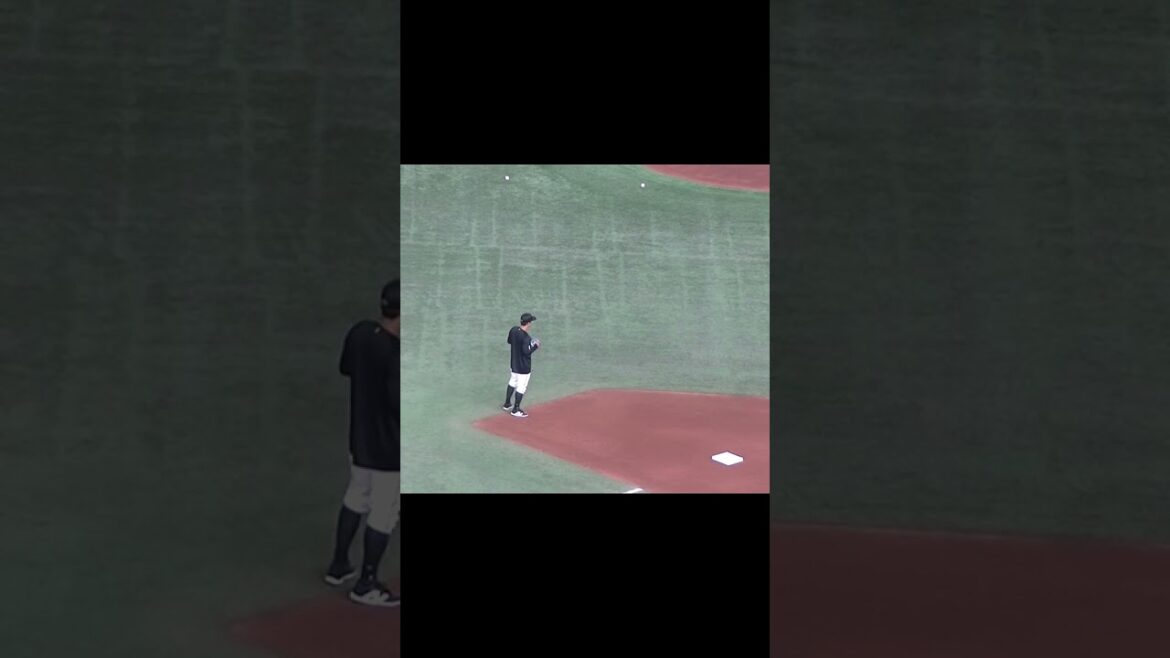 中村奨吾 サード守備練習【読売ジャイアンツ対千葉ロッテマリーンズ2024年6月4日】