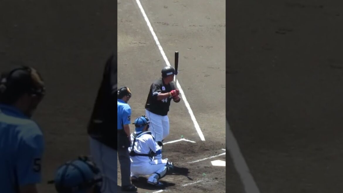 【マリーンズ】井上晴哉のヒット時の打撃フォーム2024年6月5日 日本ハムファイターズ対 千葉ロッテマリーンズ