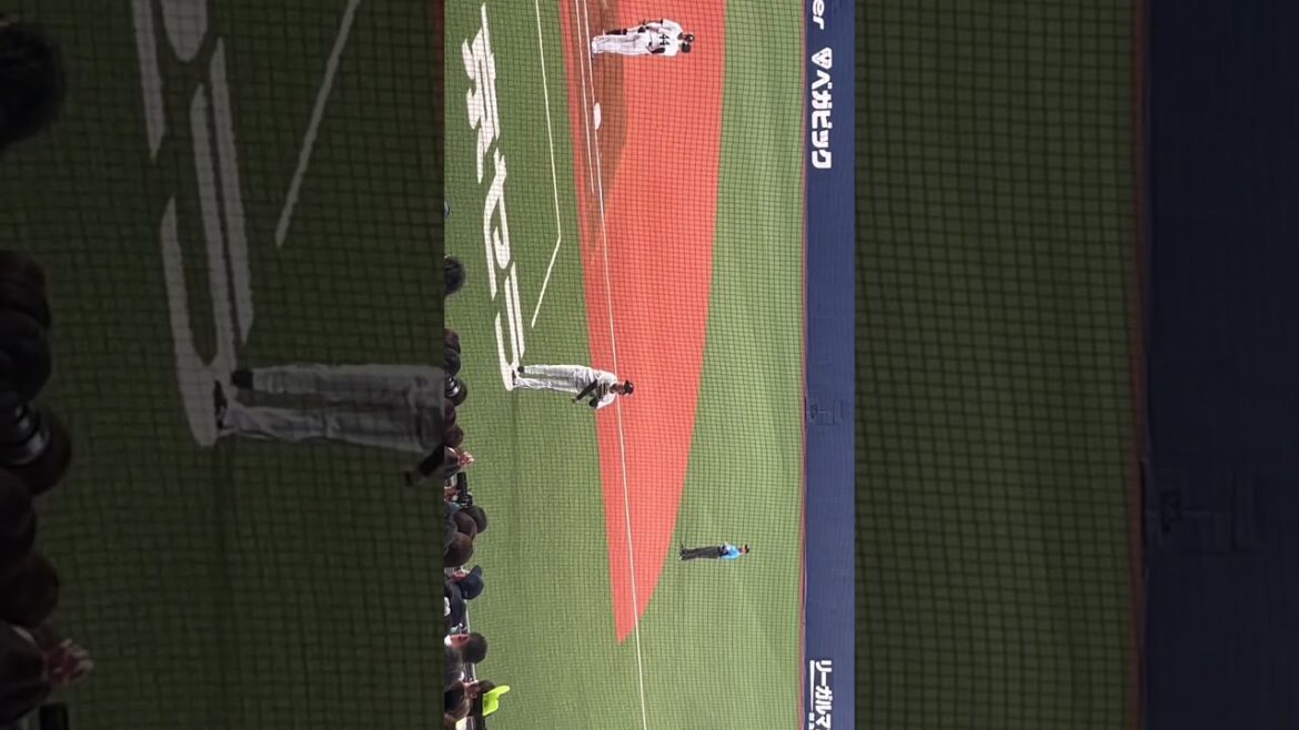 【オリックス】大城滉二選手 オリックスバファローズ