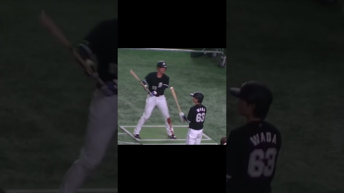 【千葉ロッテ】茶谷健太がティーバッティング【読売ジャイアンツ対千葉ロッテマリーンズ2024年6月4日】