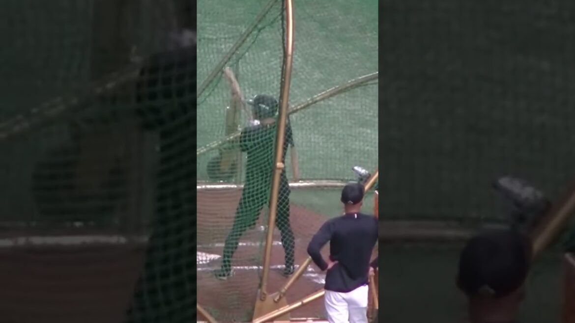 【千葉ロッテ】荻野貴司がフリーバッティング【読売ジャイアンツ対千葉ロッテマリーンズ2024年6月4日】