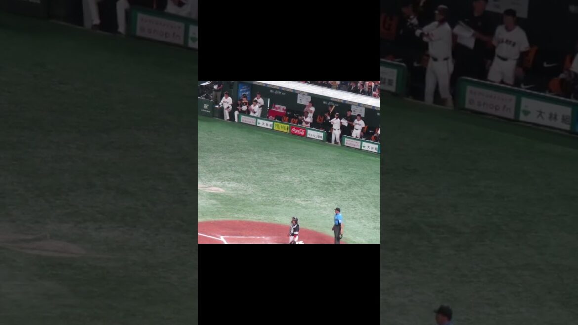 吉川尚輝のヒットで喜ぶ巨人ベンチの選手たち＜読売ジャイアンツ対 福岡ソフトバンクホークス2024年5月30日＞