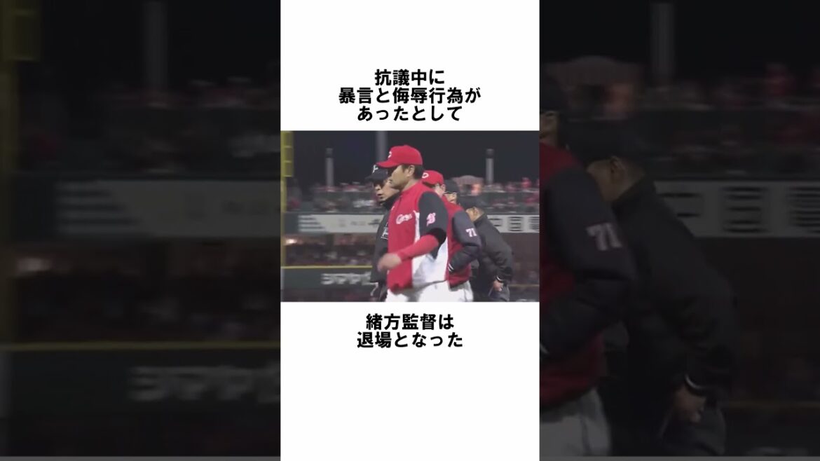 ㊗️100万『お前も退場しろ 山路哲生』に関する雑学　#野球解説　#雑学　#白井一行　#誤審　#shorts #山路哲生
