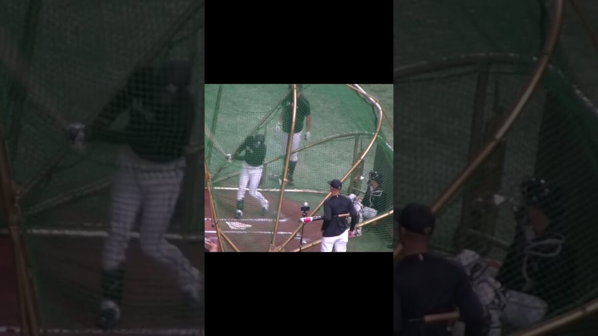 【千葉ロッテ】髙部瑛斗がフリーバッティング【読売ジャイアンツ対千葉ロッテマリーンズ2024年6月4日】