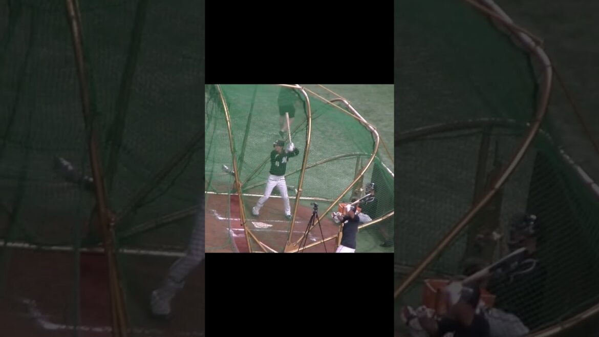 【千葉ロッテ】和田康士郎がフリーバッティング【読売ジャイアンツ対千葉ロッテマリーンズ2024年6月4日】