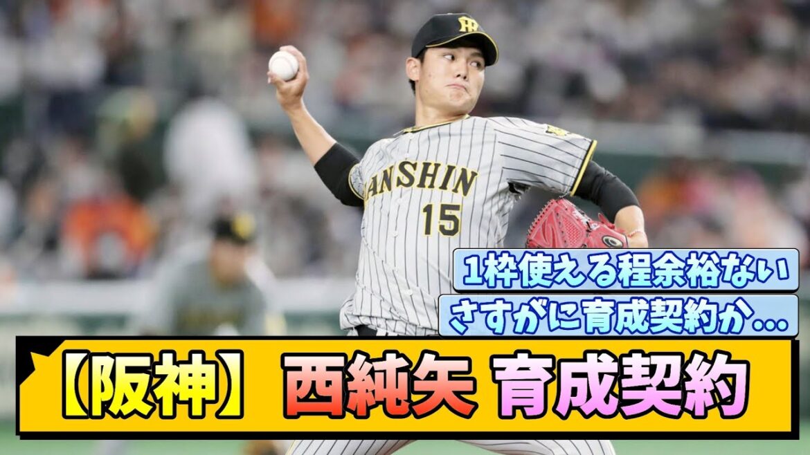 【阪神】西純矢 育成契約に...