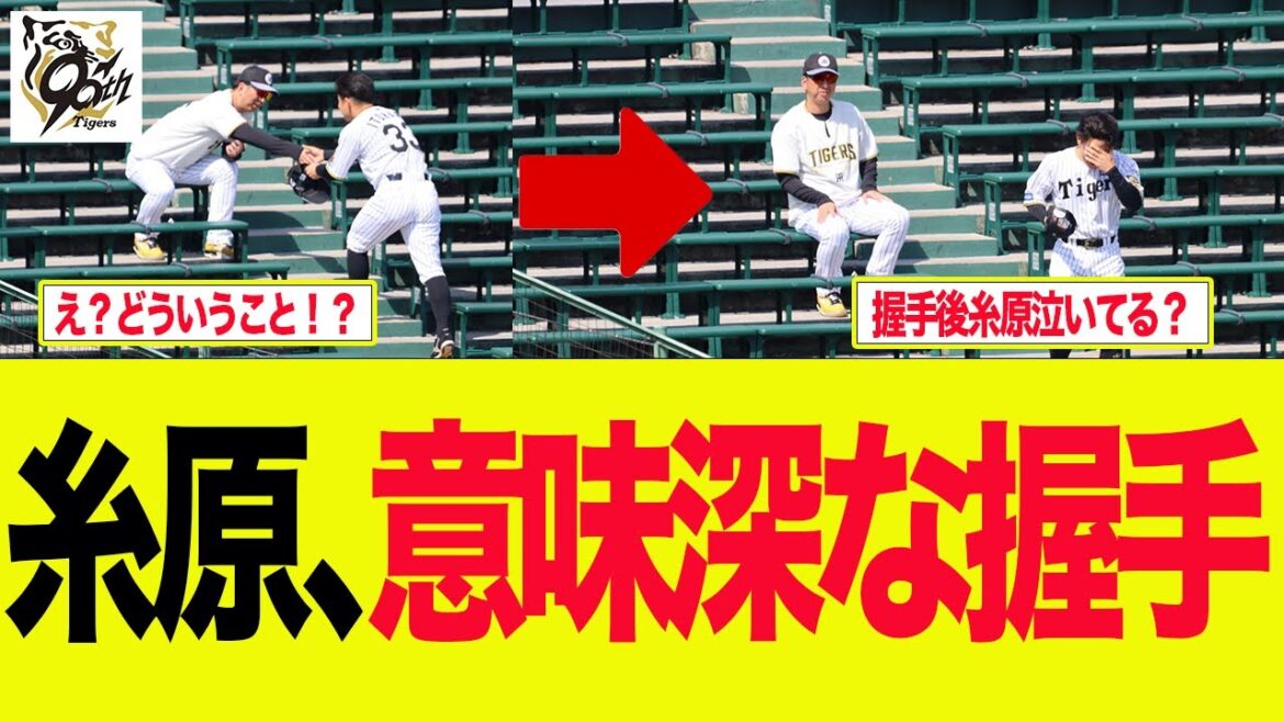 【阪神】糸原、藤川監督との握手が様々な憶測を呼んでる件 阪神ファンの反応集 【阪神】糸原、藤川監督との握手が様々な憶測を呼んでる件 阪神ファンの反応集