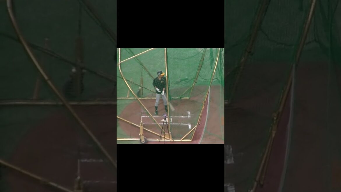 タイガース熊谷敬宥のフリーバッティング（2024年7月16日読売ジャイアンツ対 阪神タイガース）