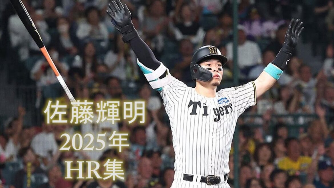 阪神 佐藤輝明 ホームラン集【全40本】