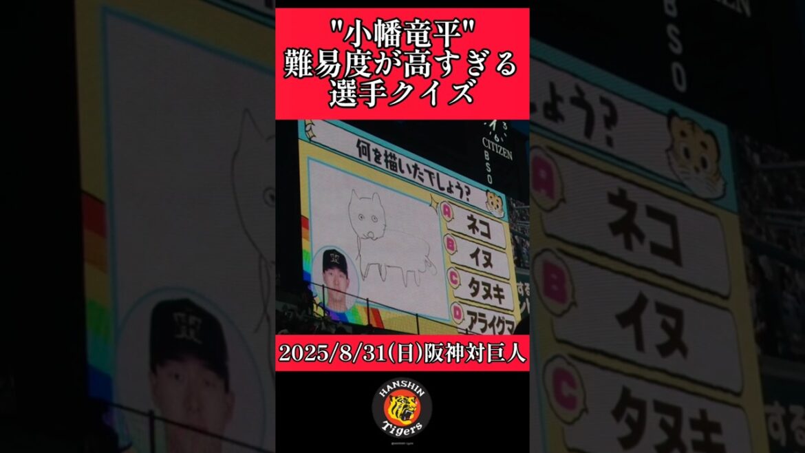 【阪神】"小幡竜平"難易度が高すぎる選手クイズ！ #阪神 #阪神タイガース #小幡竜平 #shorts