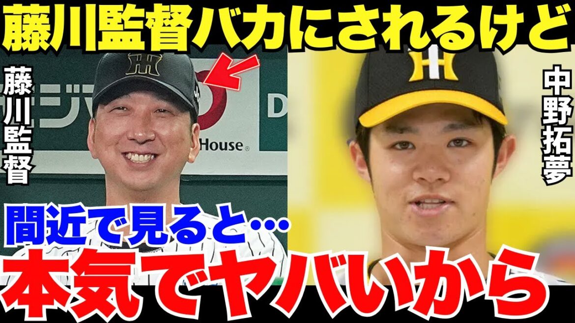 中野「結構バッシングありますけど…」藤川監督を間近で見てきた中野拓夢が語った藤川監督の凄さに名将の香りがする！