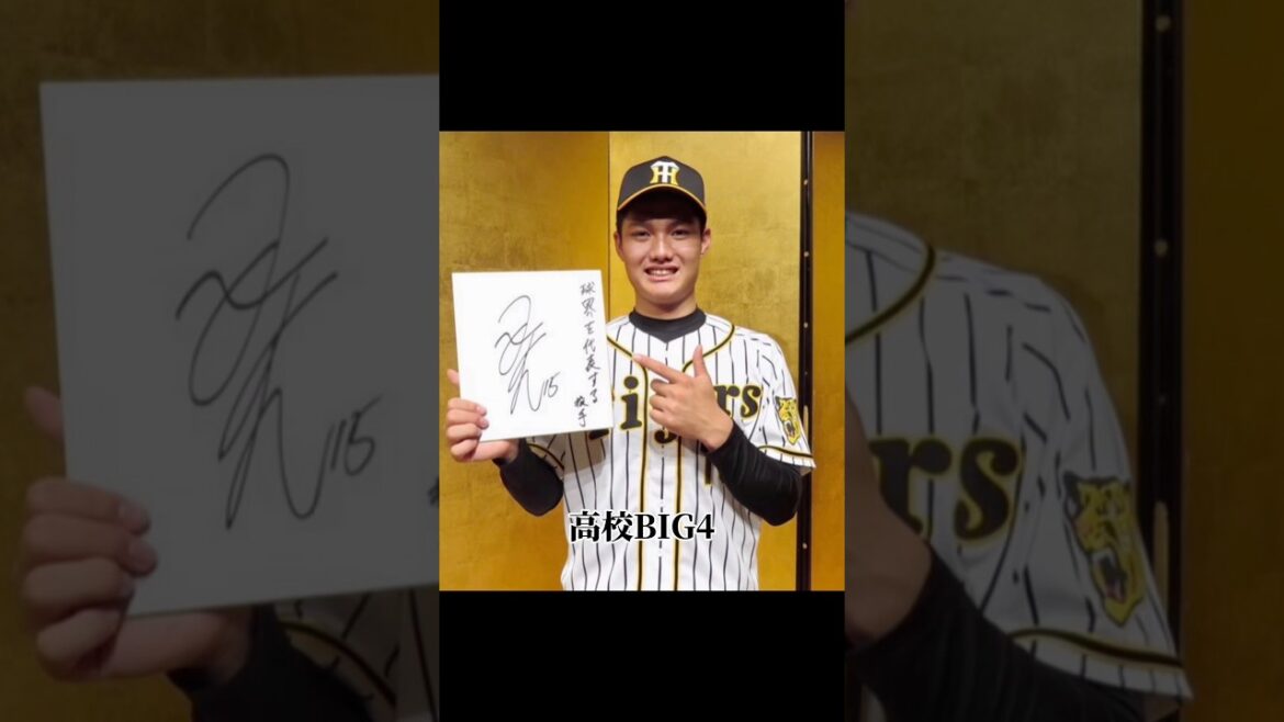 西純矢のプロ野球人生