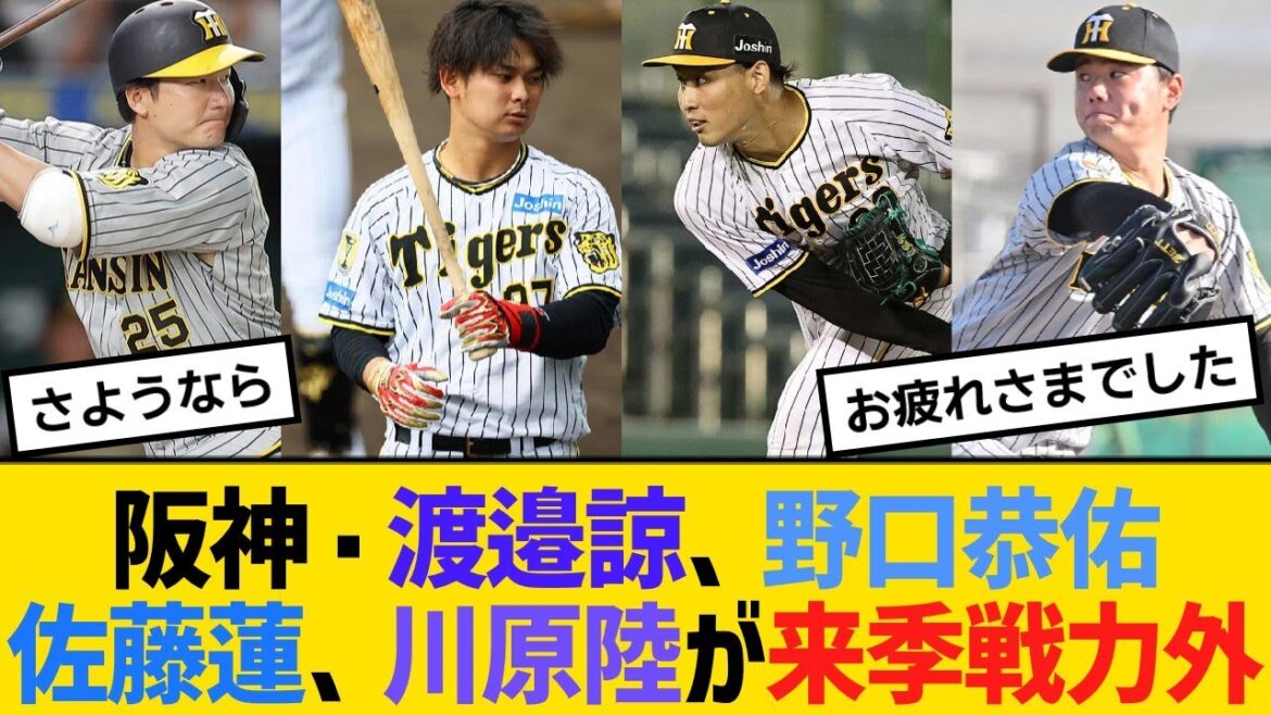 阪神・渡邉諒、野口恭佑、佐藤蓮、川原陸の4選手が来季戦力構想外【野球】【反応】【考察】 阪神・渡邉諒、野口恭佑、佐藤蓮、川原陸の4選手が来季戦力構想外【野球】【反応】【考察】