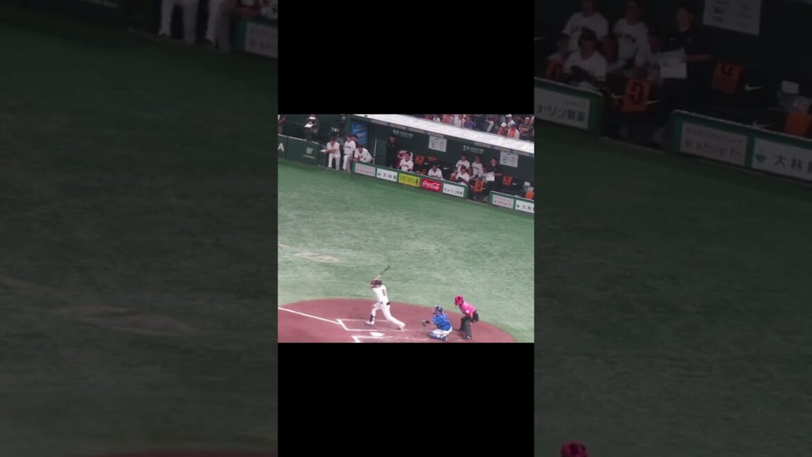 【巨人ベンチ】8回 丸佳浩ヒットで喜ぶ姿（読売ジャイアンツ 対 横浜DeNAベイスターズ 2024年9月19日）