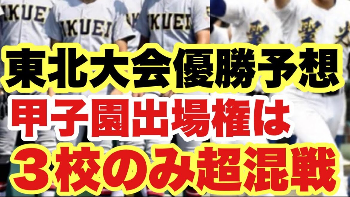 【高校野球】東北大会優勝予想❗️甲子園に行けるのは３校のみの超混戦❗️❗️
