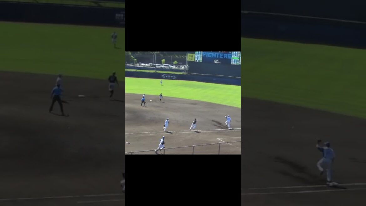 【ファイターズ】堀瑞輝〜井上晴哉を併殺打2024年6月5日 日本ハムファイターズ対 千葉ロッテマリーンズ