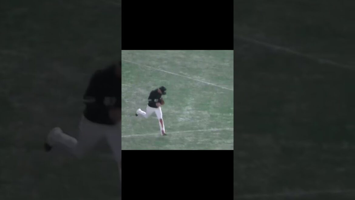 丸佳浩セカンドゴロ 小川龍成のセカンド守備【読売ジャイアンツ対千葉ロッテマリーンズ2024年6月4日】