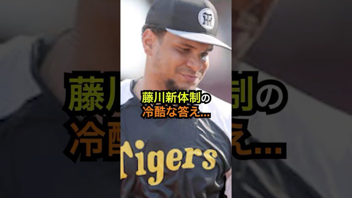 若手かベテランか。森木/西/佐藤蓮 vs 梅野/原口/畠【阪神“選別”】#阪神タイガース #藤川球児 #投手陣