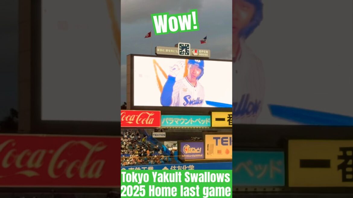 【神宮最終戦で復帰の粋な演出】塩見泰隆選手（東京ヤクルトスワローズ）明治神宮野球場