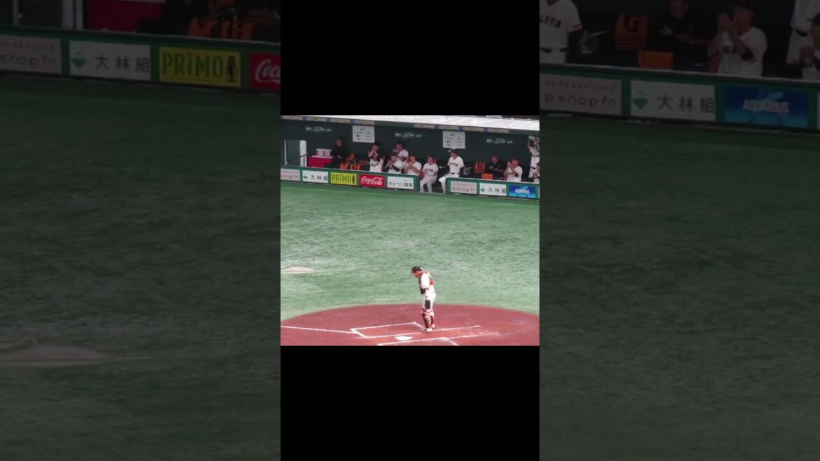 岡大海を打ち取った井上温大に拍手を送る巨人ベンチの選手たちの姿＜読売ジャイアンツ対 千葉ロッテマリーンズ2024年6月6日＞