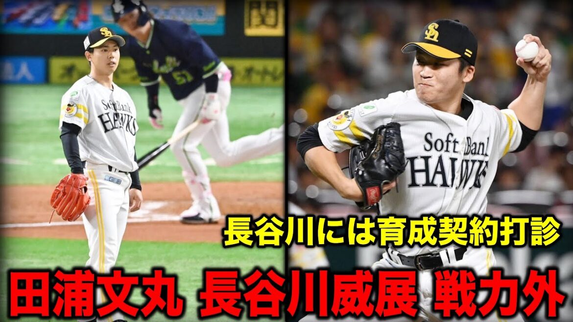 田浦文丸と長谷川威展が戦力外になってしまいました