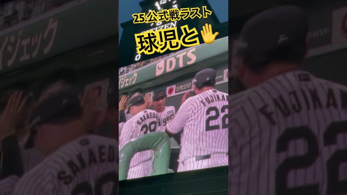 #阪神タイガース #藤川球児 #阪神甲子園球場 #hanshintigers #甲子園 #阪神応援