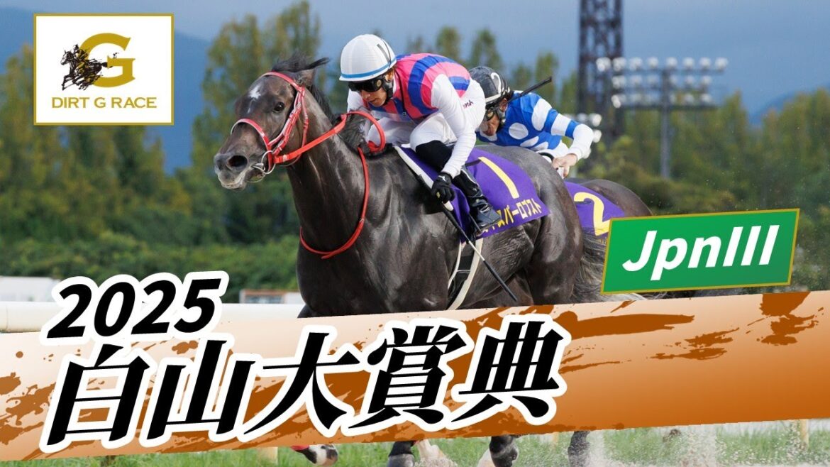 2025年 白山大賞典JpnIII|第45回|NAR公式 2025年 白山大賞典JpnIII|第45回|NAR公式