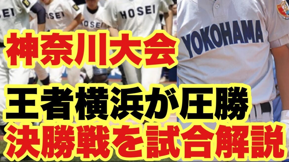 【高校野球】神奈川大会決勝戦❗️横浜VS法政ニを最速解説❗️
