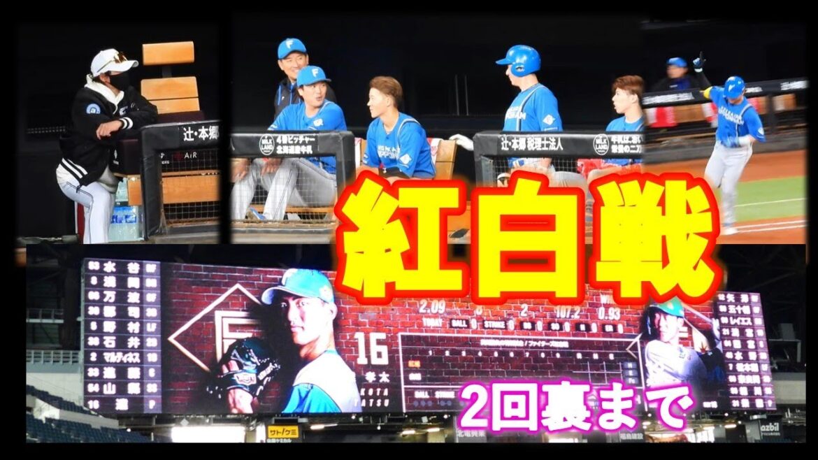【20251007】紅白戦　2回裏まで（白）達孝太（紅）柴田獅子