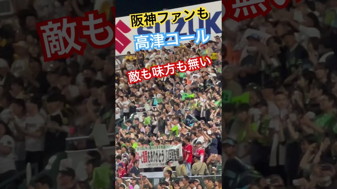 #甲子園 #阪神甲子園球場 #高津臣吾 #高津監督 #東京ヤクルトスワローズ #阪神ファン #プロ野球