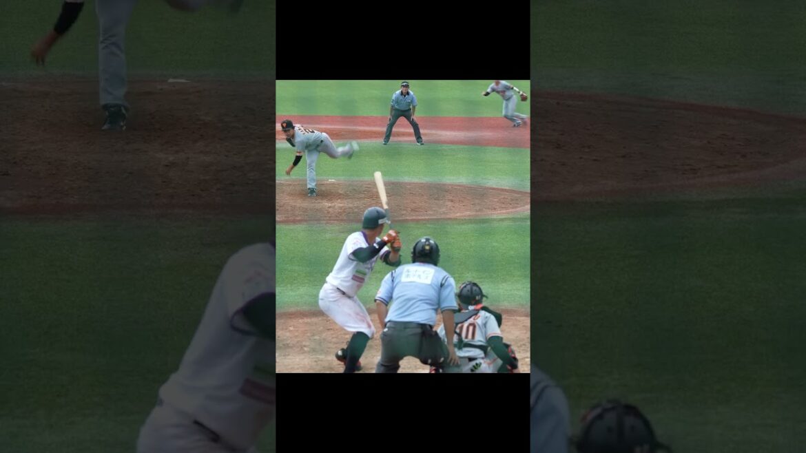 【巨人】三軍戦で見た好プレー集 #shorts #baseball #sports #ジャイアンツ #巨人 #プロ野球 【巨人】三軍戦で見た好プレー集 #shorts #baseball #sports #ジャイアンツ #巨人 #プロ野球