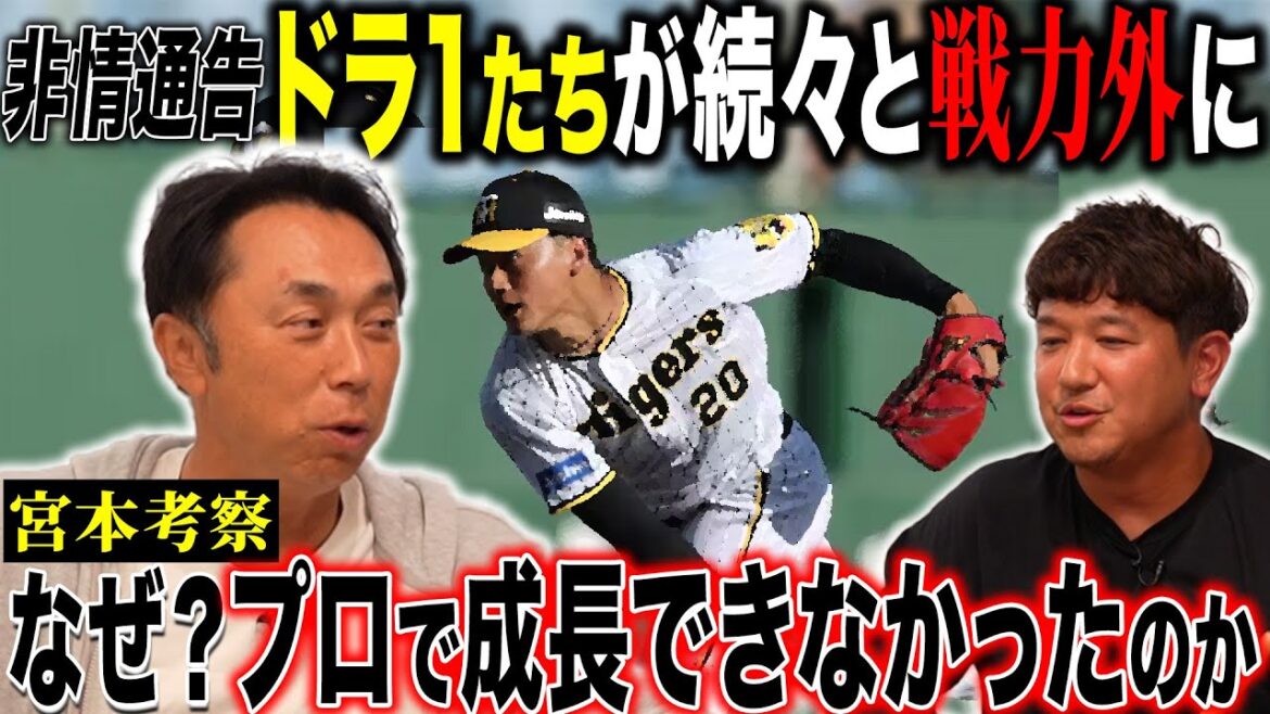 【戦力外】阪神ドラ1森木わずか4年でクビに…「なぜプロで成長できなかったのか!?」宮本が明かした非情なるプロの世界