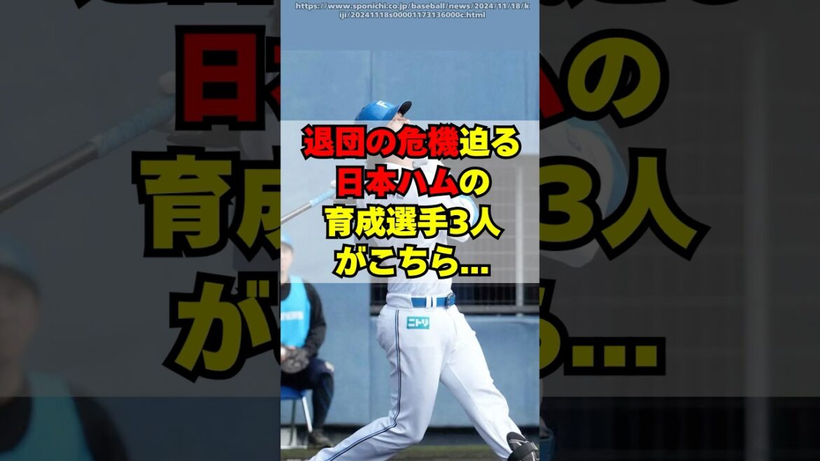 【日本ハム】退団の危機が迫る育成３選手がこちら・・・
