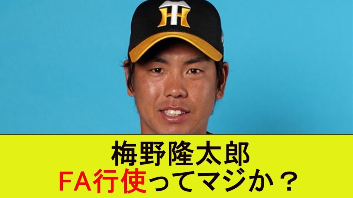 梅野隆太郎、FA行使ってマジか？【なんJ/プロ野球/2ｃｈ/5ｃｈ/反応/まとめ】