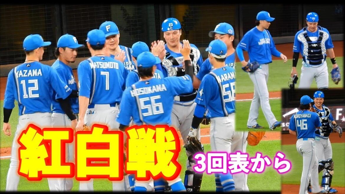 【20251007】紅白戦　6回裏まで（白）福島蓮（紅）柴田獅子・山﨑福也