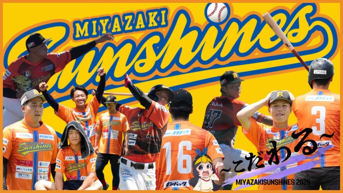 【2025年振り返り】宮崎サンシャインズ総集編 【2025年振り返り】宮崎サンシャインズ総集編