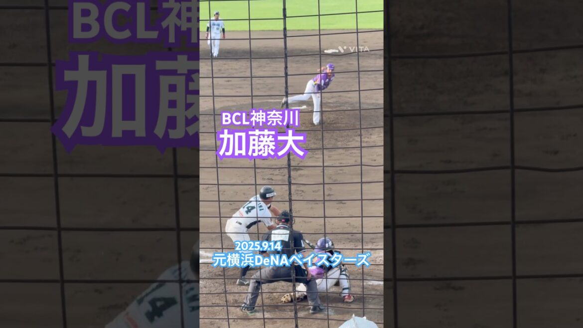 #加藤大 #独立リーグ #横浜denaベイスターズ