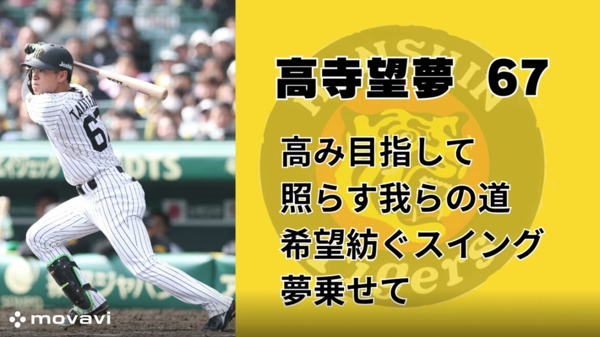【自作応援歌】阪神タイガース 高寺望夢 応援歌 【非公式】