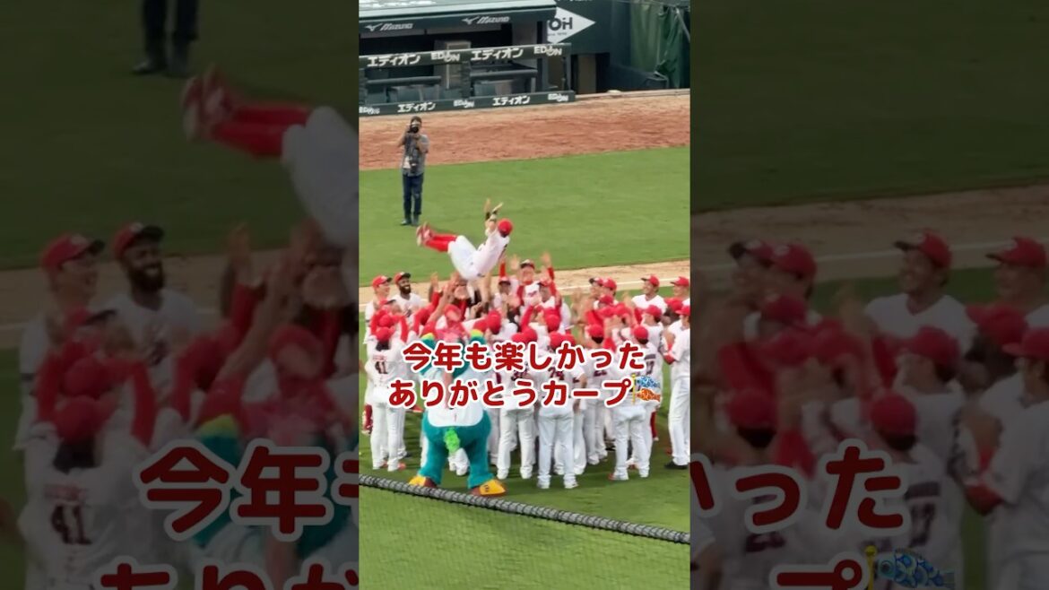 今季最終戦を観てきました #shorts #カープ #carp #広島東洋カープ #プロ野球 #野球 #カープファン #野球ファン #田中広輔 #松山竜平 #上本崇司