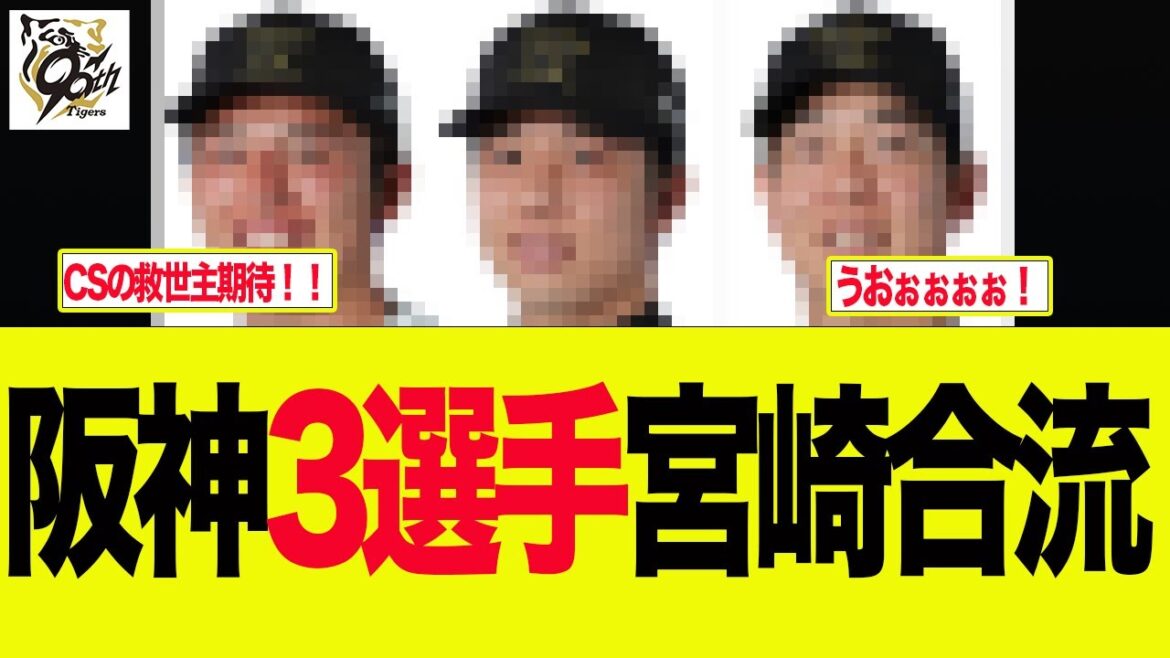 【阪神】阪神3選手宮崎フェニックスリーグに合流　 阪神ファンの反応集